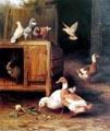 unknow artist Duck and Pigeon Germany oil painting art